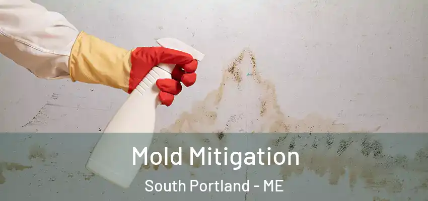  Mold Mitigation South Portland - ME