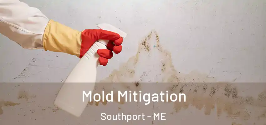  Mold Mitigation Southport - ME