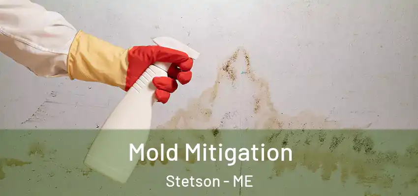 Mold Mitigation Stetson - ME