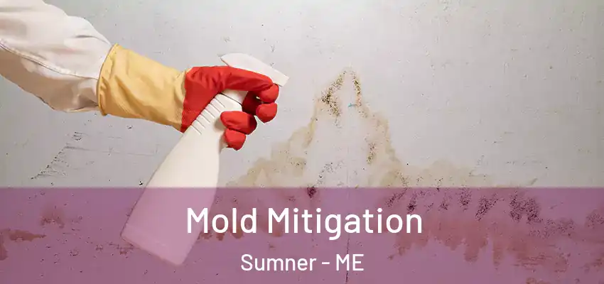 Mold Mitigation Sumner - ME