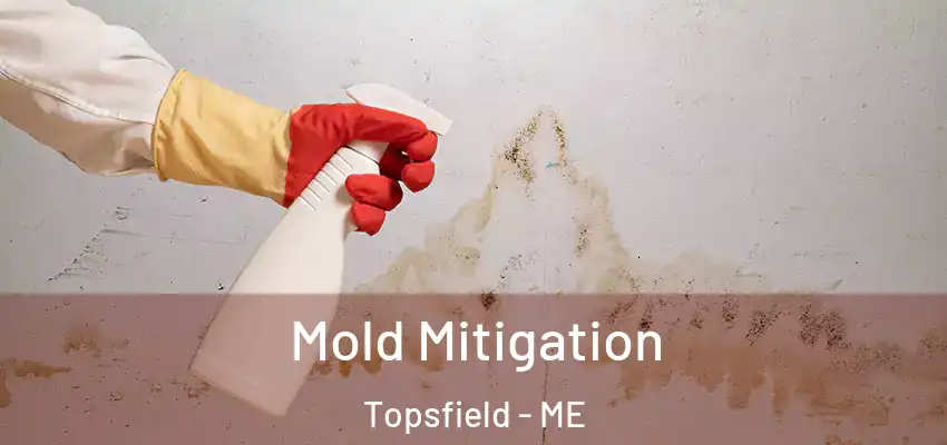  Mold Mitigation Topsfield - ME