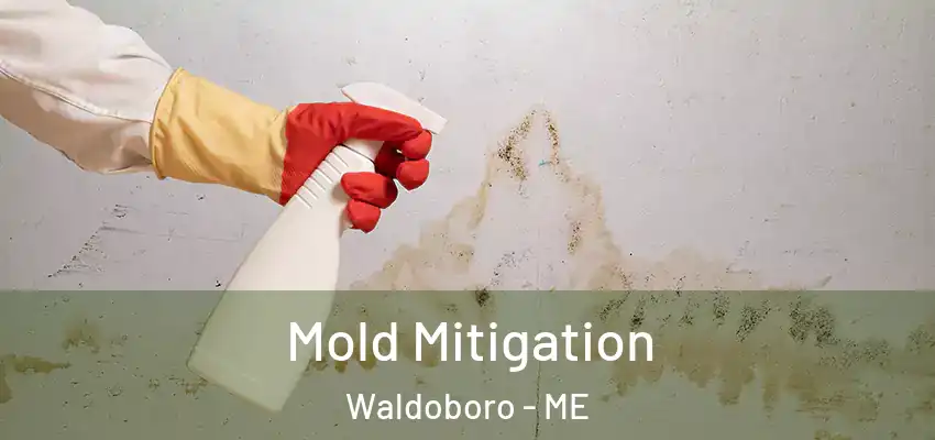 Mold Mitigation Waldoboro - ME