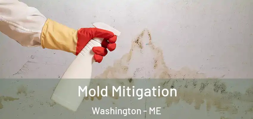 Mold Mitigation Washington - ME