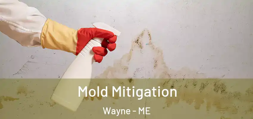 Mold Mitigation Wayne - ME