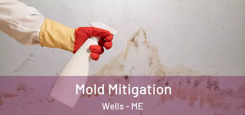 Mold Mitigation Wells - ME