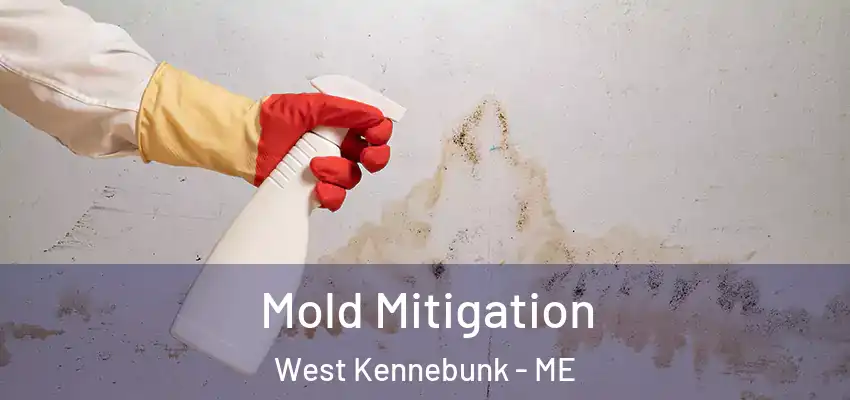 Mold Mitigation West Kennebunk - ME