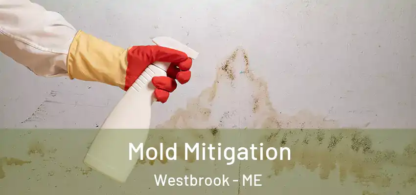 Mold Mitigation Westbrook - ME