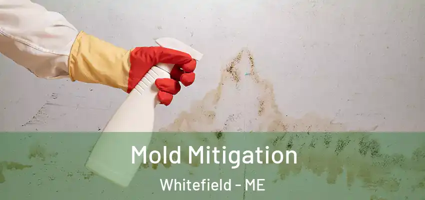 Mold Mitigation Whitefield - ME