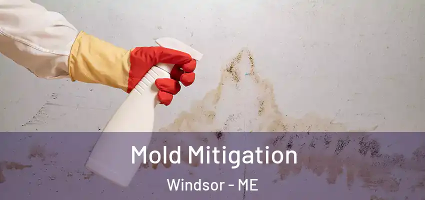 Mold Mitigation Windsor - ME