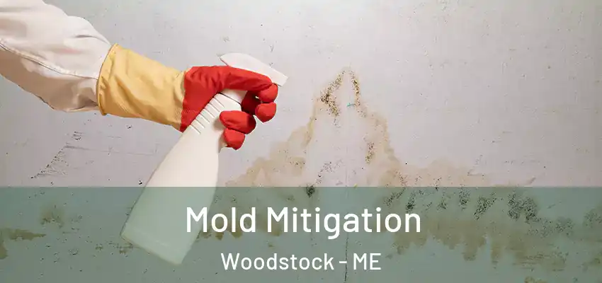 Mold Mitigation Woodstock - ME
