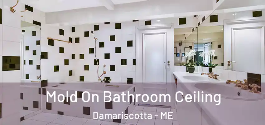  Mold On Bathroom Ceiling Damariscotta - ME