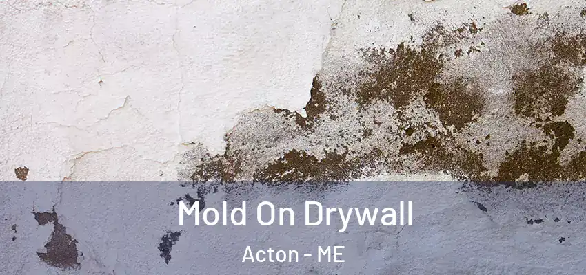  Mold On Drywall Acton - ME
