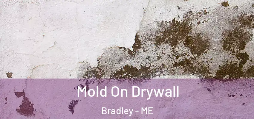  Mold On Drywall Bradley - ME