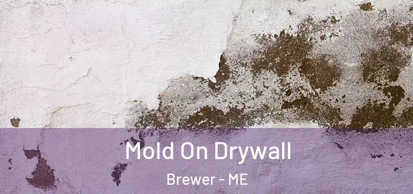 Mold On Drywall Brewer - ME