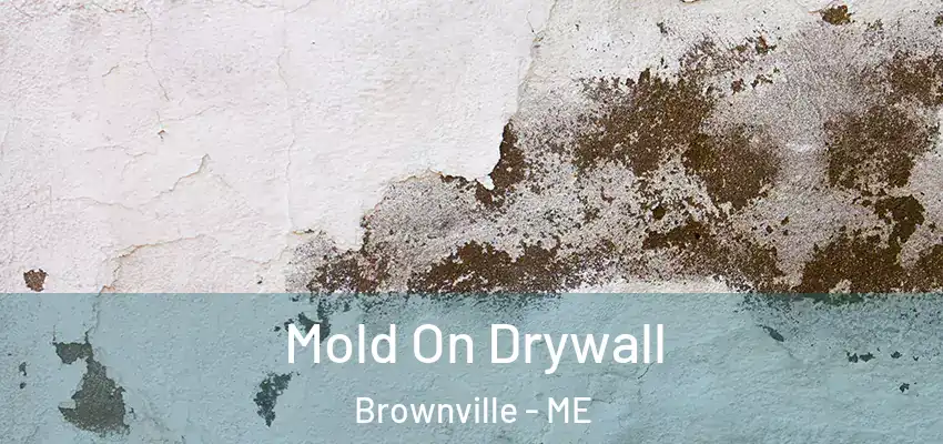Mold On Drywall Brownville - ME