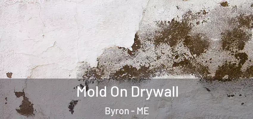  Mold On Drywall Byron - ME