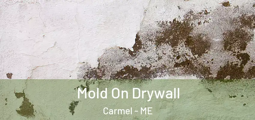  Mold On Drywall Carmel - ME