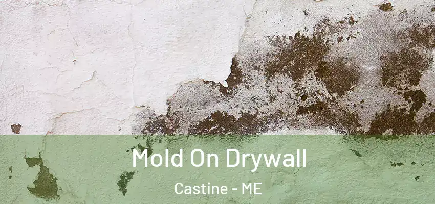  Mold On Drywall Castine - ME
