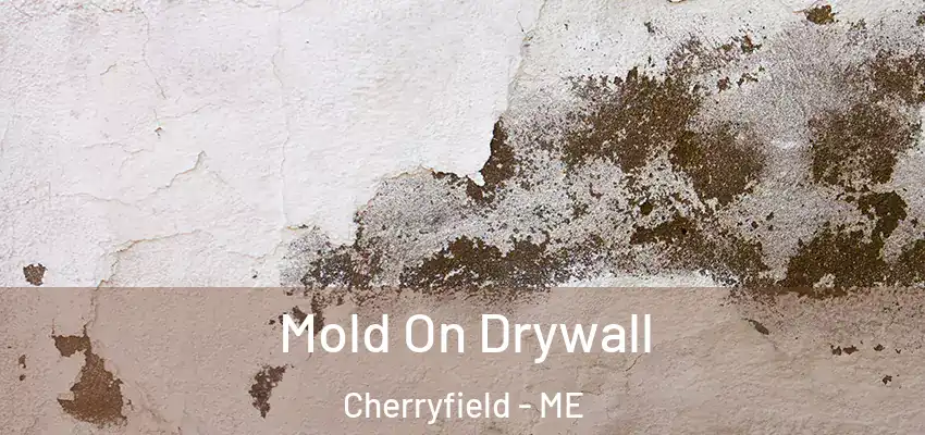  Mold On Drywall Cherryfield - ME