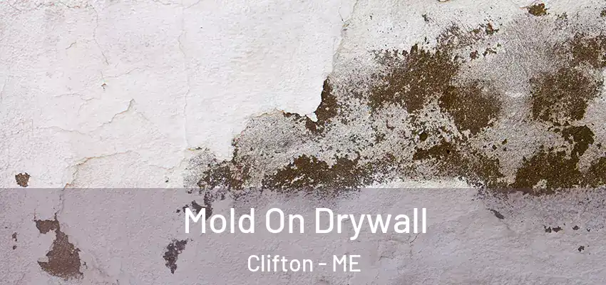  Mold On Drywall Clifton - ME