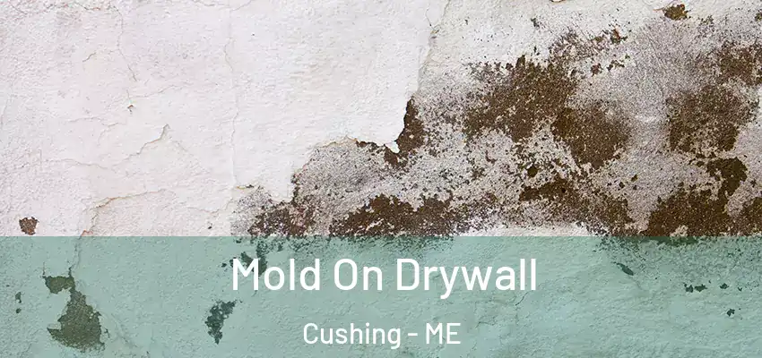  Mold On Drywall Cushing - ME