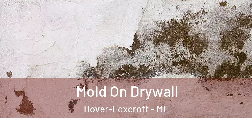 Mold On Drywall Dover-Foxcroft - ME