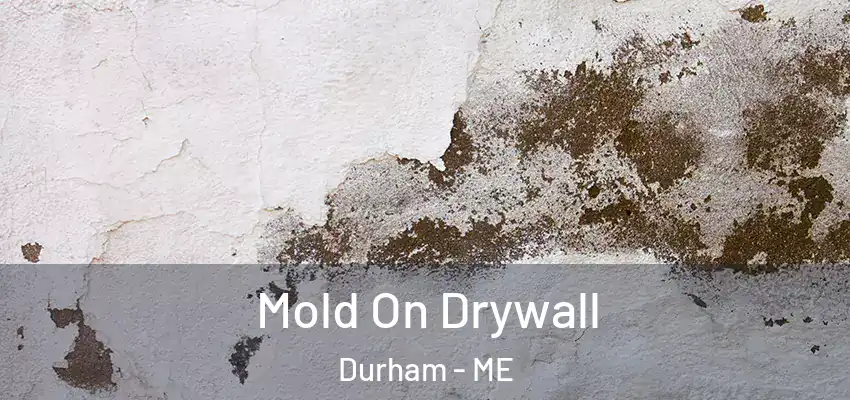  Mold On Drywall Durham - ME