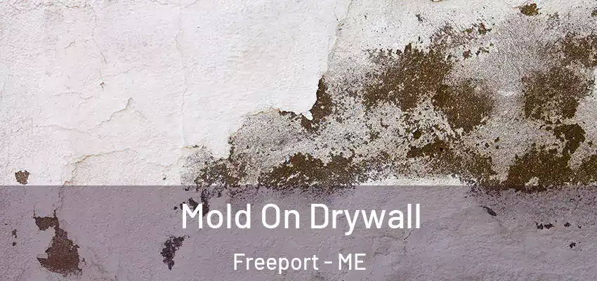  Mold On Drywall Freeport - ME