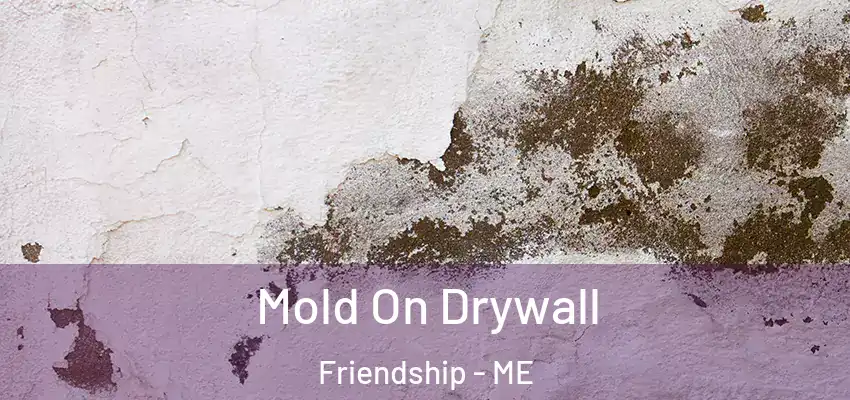  Mold On Drywall Friendship - ME