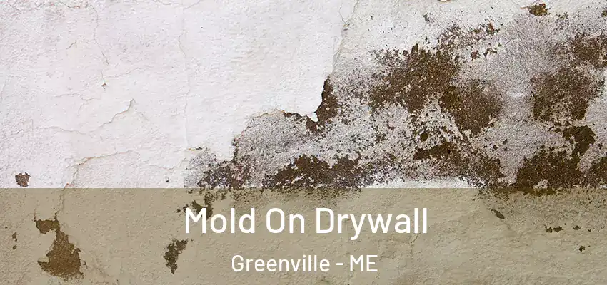 Mold On Drywall Greenville - ME