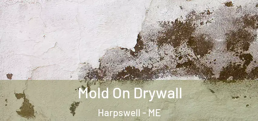 Mold On Drywall Harpswell - ME