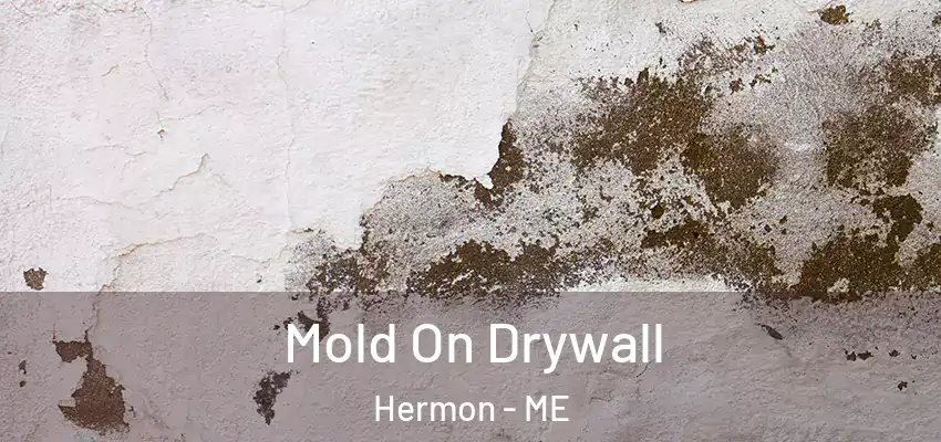  Mold On Drywall Hermon - ME