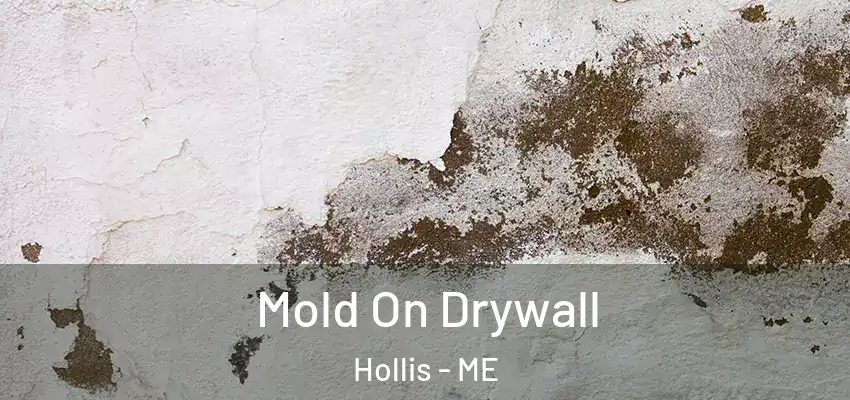  Mold On Drywall Hollis - ME