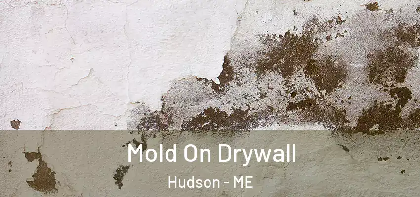  Mold On Drywall Hudson - ME