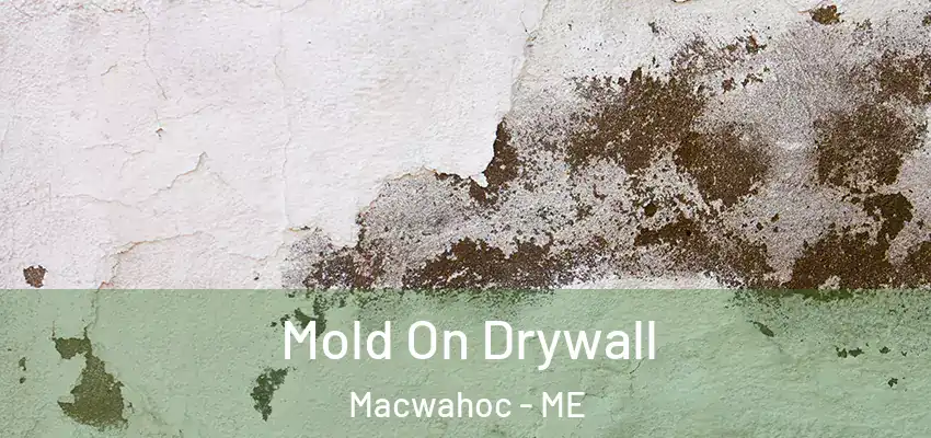  Mold On Drywall Macwahoc - ME