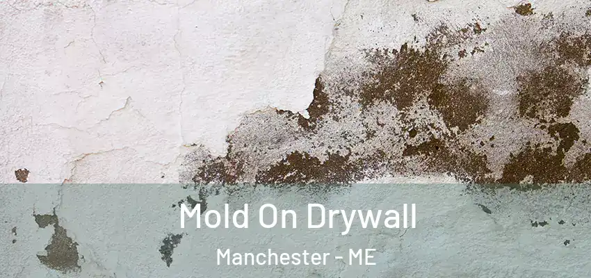  Mold On Drywall Manchester - ME