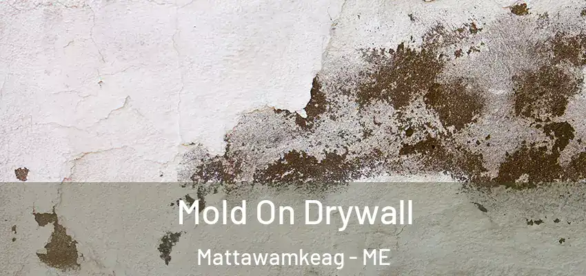 Mold On Drywall Mattawamkeag - ME