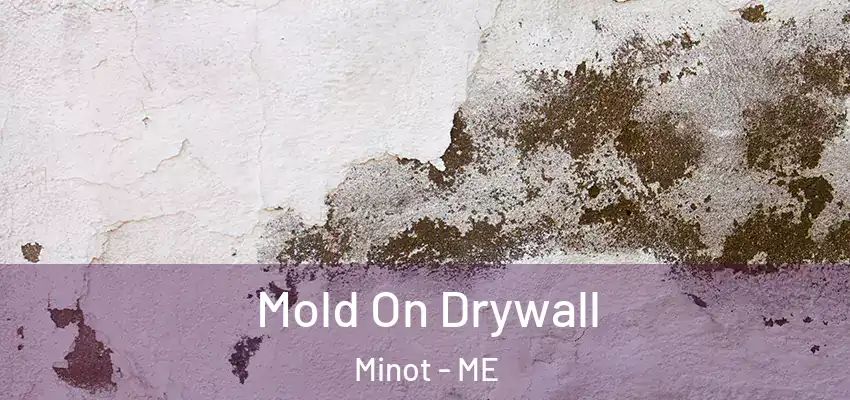  Mold On Drywall Minot - ME