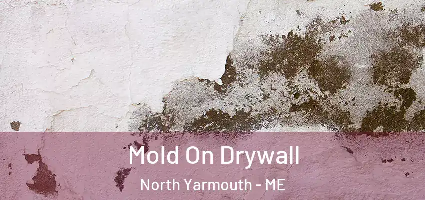 Mold On Drywall North Yarmouth - ME