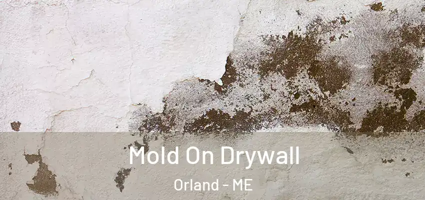  Mold On Drywall Orland - ME