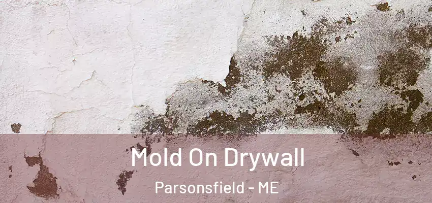  Mold On Drywall Parsonsfield - ME