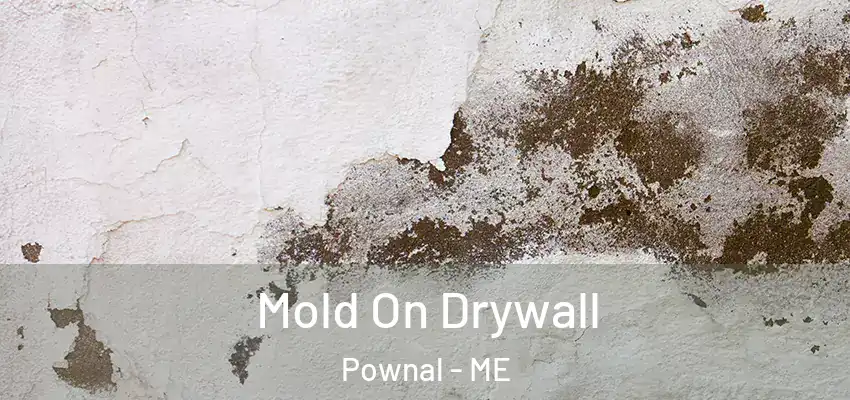  Mold On Drywall Pownal - ME