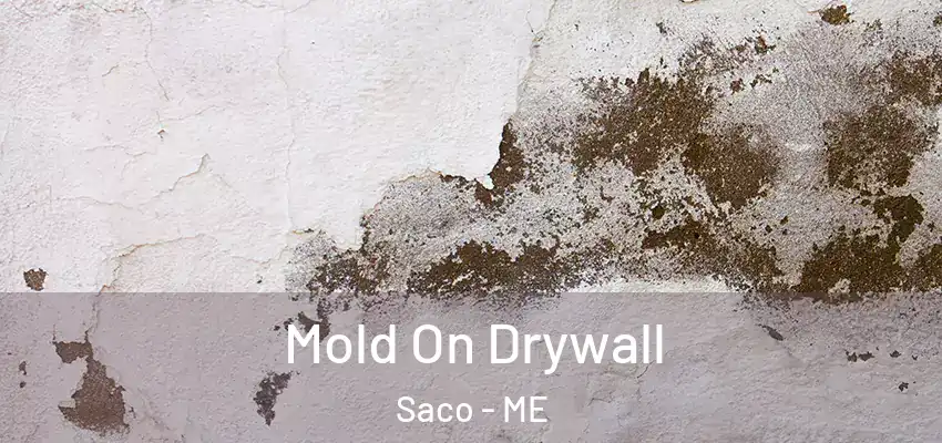  Mold On Drywall Saco - ME