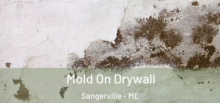 Mold On Drywall Sangerville - ME