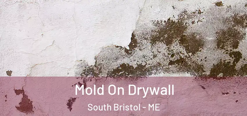  Mold On Drywall South Bristol - ME