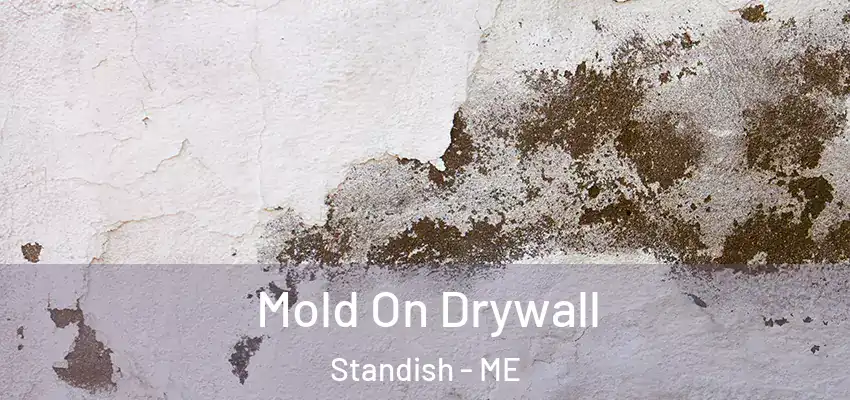  Mold On Drywall Standish - ME