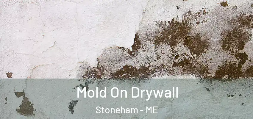  Mold On Drywall Stoneham - ME