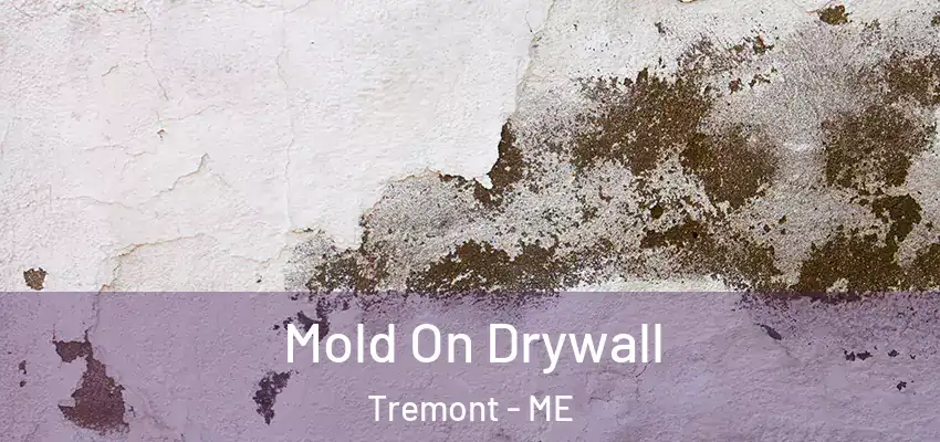 Mold On Drywall Tremont - ME