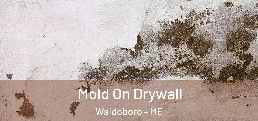 Mold On Drywall Waldoboro - ME
