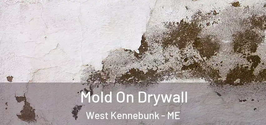 Mold On Drywall West Kennebunk - ME